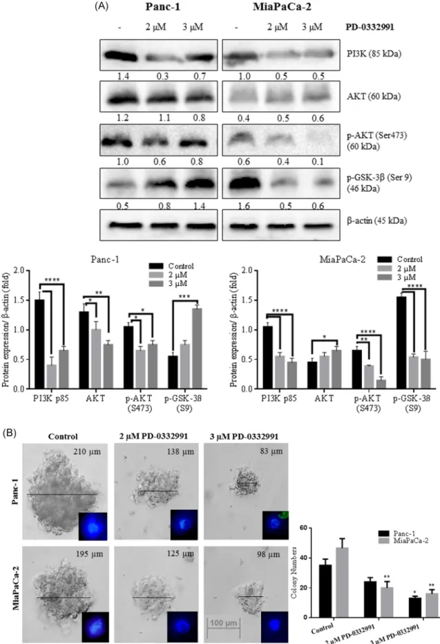 FIGURE 5 Continued