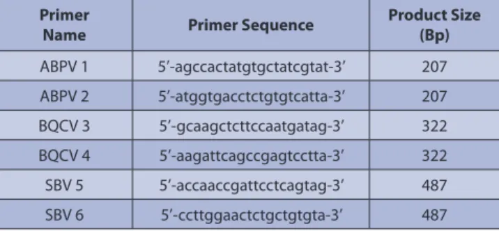Table 1. RT-PCR primers used for viruses selected in the study Primer 