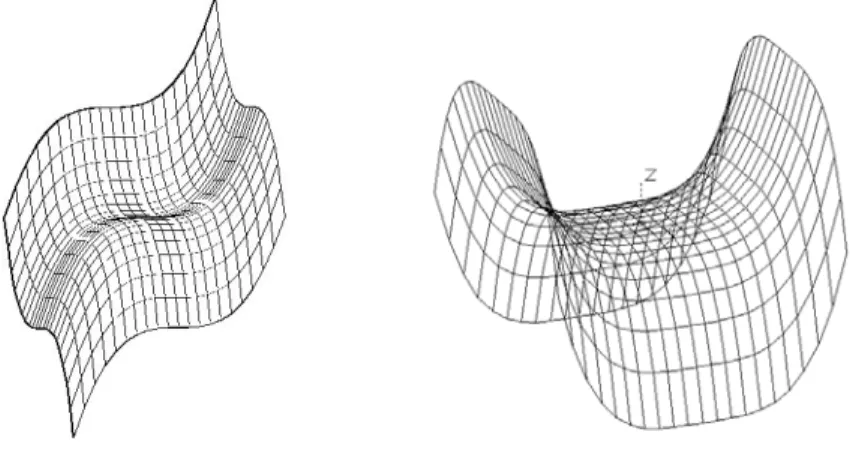 Figure 4. Examples of Non-Hypar Surfaces Generated by the Students 