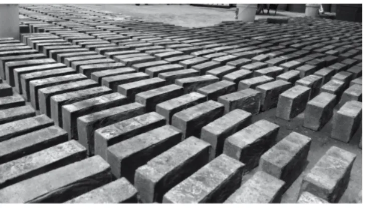 Fig. 1. Biobrick after manufacturing, [7]. 