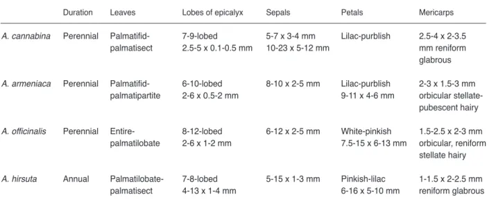Table 1. Comparison of the morphological characters of Althaea species
