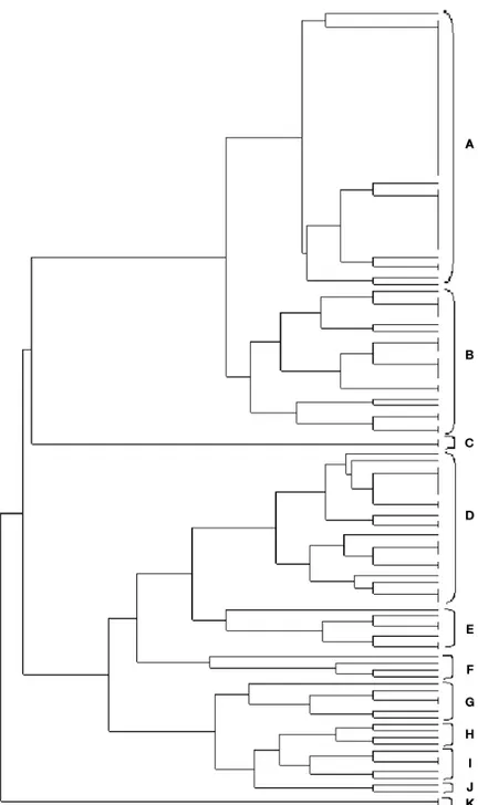 Figure 5. The dendrogram based on antibiotics resistance of E. coli isolates. . A) E. coli 1,102, 95, 52, 43, 41, 40, 39, 38, 37, 36, 35, 34, 33, 27, 24, 23, 22, 21, 20, 19, 18, 17, 12, 16, 8, 113, 112, 11, 73, 71, 70, 62, 58, 25, 31, 28, 29, 49, 9, 32, B)