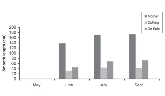 Figure 2. Willow shoots season changes. Willow shoot length in cm on Jennings and De Sale.