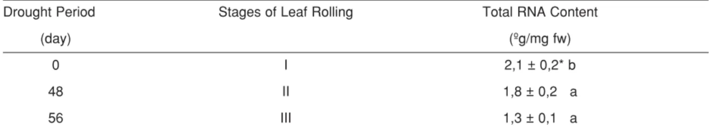 Table 1. Total RNA content during leaf rolling in C. setosa. Means ± SD of six replicates.