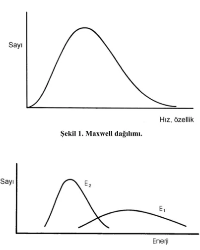 Şekil 1. Maxwell dağılımı. 