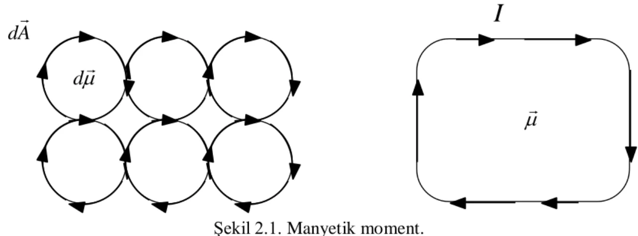 Şekil 2.1. Manyetik moment. 