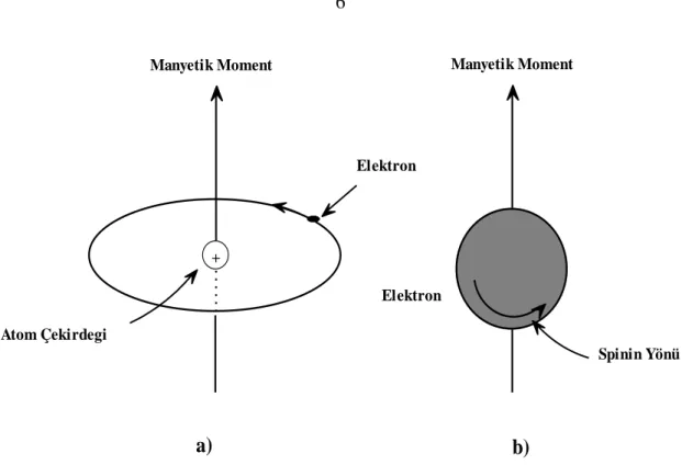 Şekil 2.2. Manyetik momentin a) elektronun yörünge ve b) elektronun spin hareketiyle  ilgisi