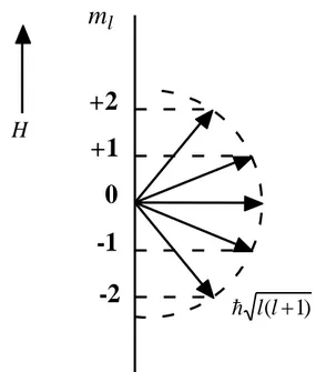 Şekil 2.4. l=2 ve sıfırdan farklı dış alan durumuna uygun atomun vektör modeli. 