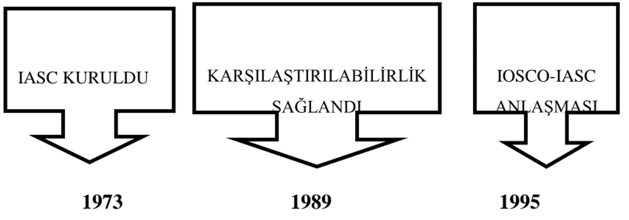 Şekil 1. 1. IASC’nin Uyum Aşamaları 