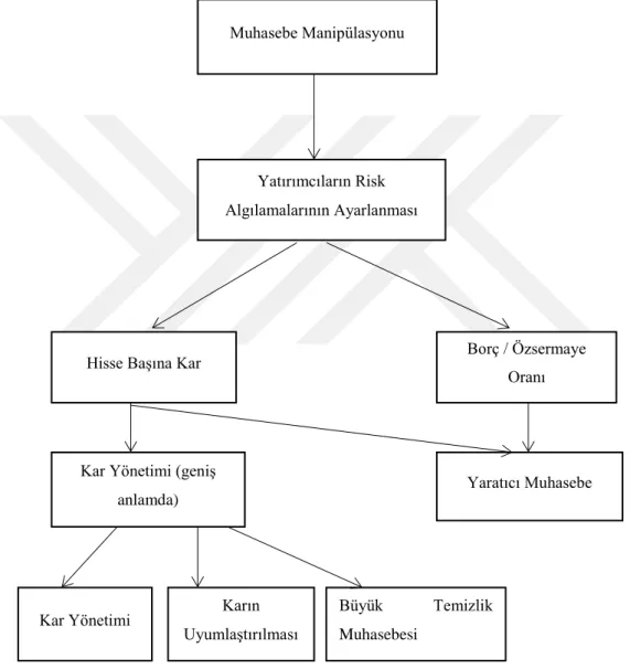 Şekil 2. 3. Muhasebe Manipülasyonlarının Sınıflandırılması 