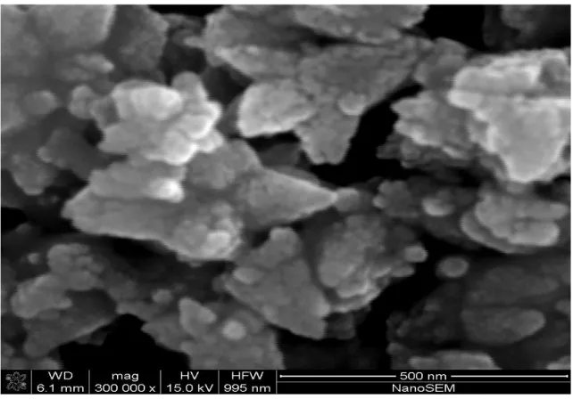 Şekil 4.3. a, b, c ve d. ZnO nanokristallerinde Taramalı Elektron Mikroskobu ile alınmış  (SEM) görüntüleri 