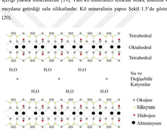 Şekil 1.5.   Kil minerali yapısı 