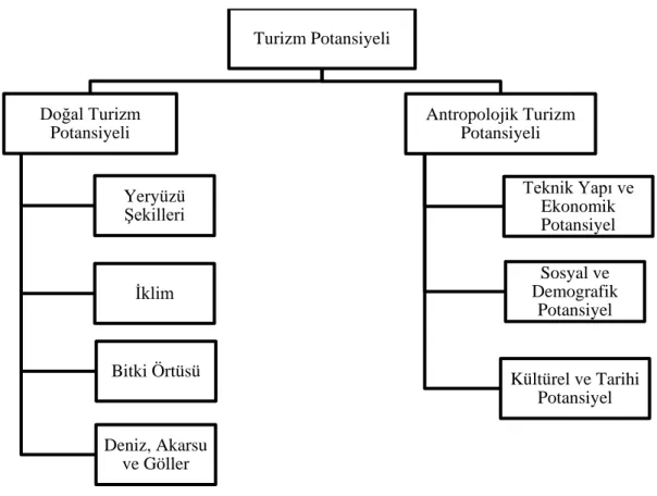 Şekil 1.1. Turizm Potansiyeli Yapısı 