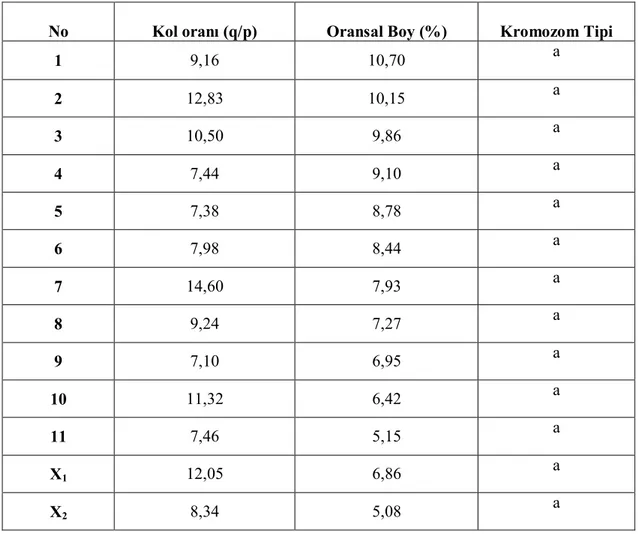 Tablo 4.4.   Lycosa singoriensis’e ait kromozomların kol oranı, oransal boy ve                      sınıflandırılması (a: Akrosentrik) 