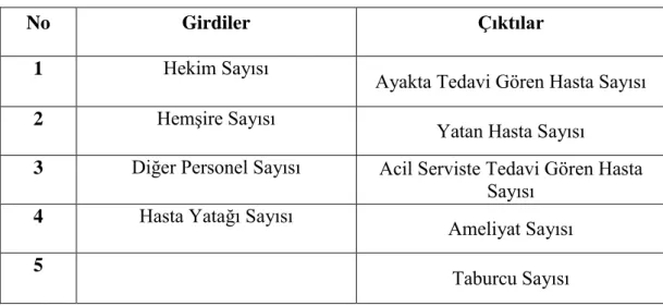 Tablo 4: ÇalıĢmada Kullanılan Girdi ve Çıktı DeğiĢkenleri 