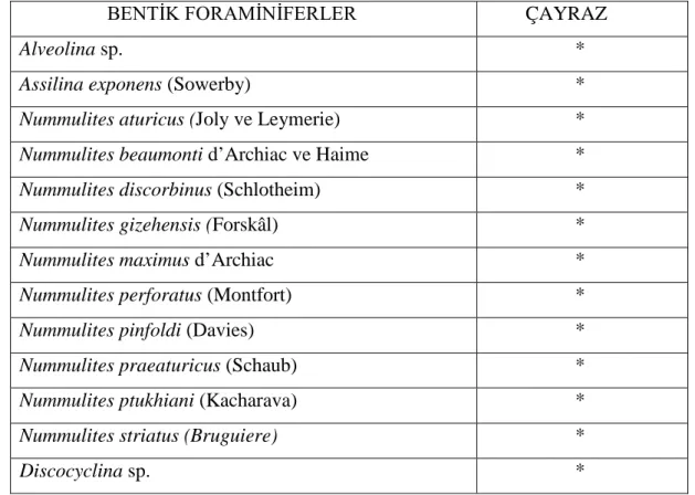 Tablo 4.1. Bentik foraminiferlerin stratigrafi kesitlerine göre d ağılımı 