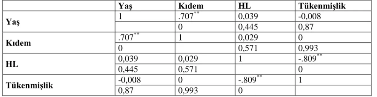 Tablo 3.3: Korelasyon Katsayıları 