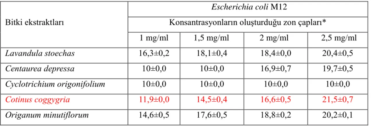 Tablo 4.5.2.  Çalışmada  kullanılan  bitki  ekstraktlarının  Escherichia  coli  M12  üzerine  antibakteriyel etkileri 