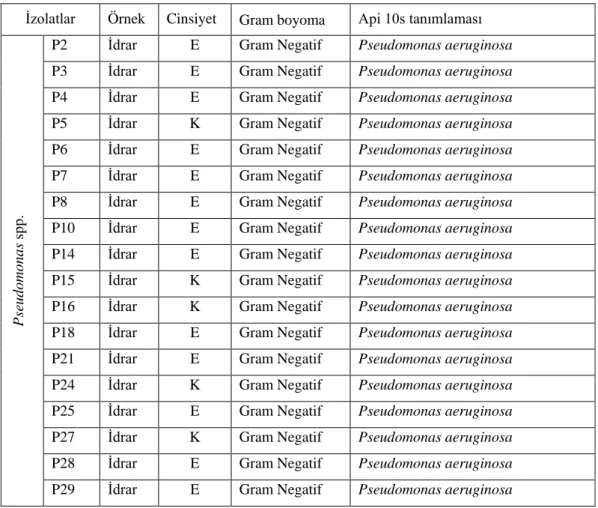 Tablo 4.1.1. Pseudomonas spp. örnekle rinin gram boyama ve tanımlama sonuçları 