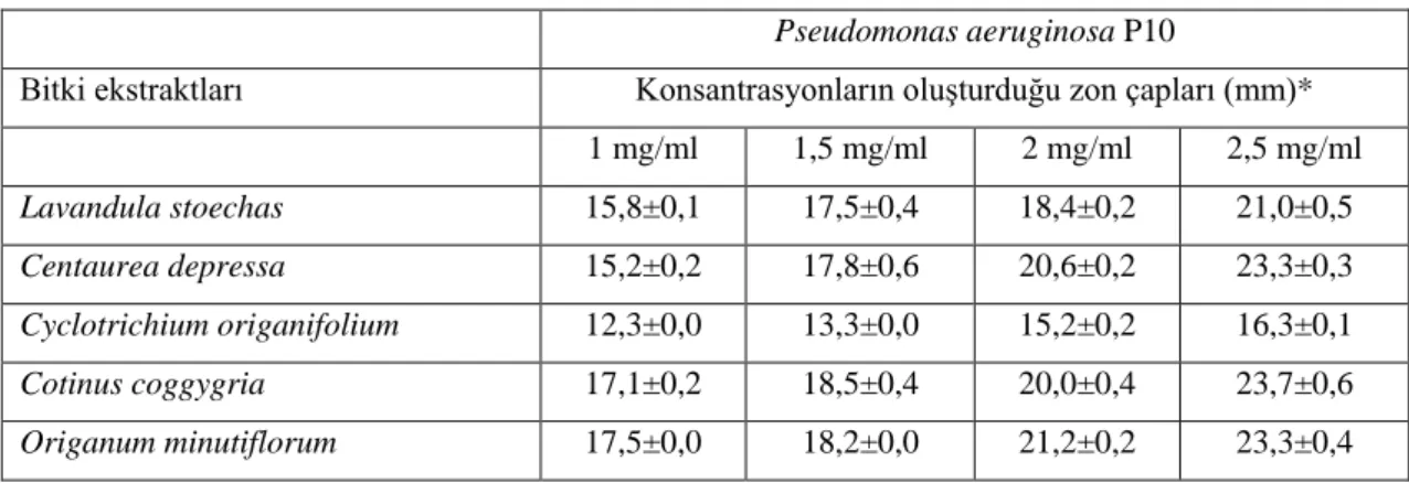 Tablo 4.4.2.  Bitki  ekstraktlarının  Pseudomonas  aeruginosa  P10’a  karşı  antibakteriyel  etkileri 