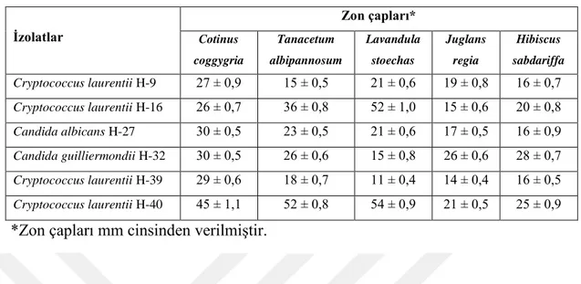Tablo 4.5.1. Bitki ekstraktlarının dirençli izolatlara karşı antifungal etkileri 