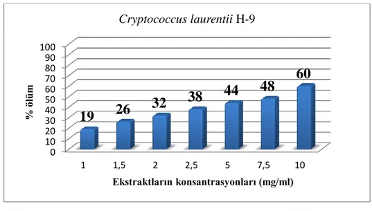 Şekil 4.6.2. Tanacetum albipannosum bitki ekstraktının 1-10 mg/ml aralığında yer alan  konsantrasyonlarında Cryptococcus laurentii H-9 izolatının % ölüm oranları 