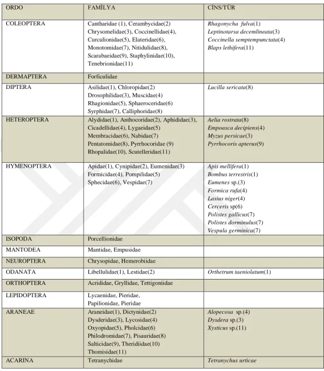 Tablo 6.1. Nar Vadisi’nde Tespit Edilen Insecta / Arachnida (Arthropoda)  T aksonları 