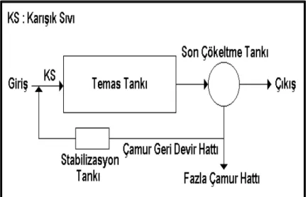 Şekil 2.6. Stabilizasyon şeması [6]  Anaerobik prosesler 