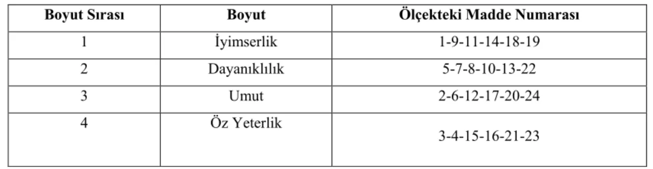 Şekil 4.1: Araştırma modeli 