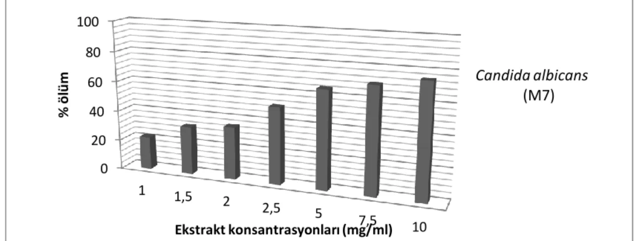 Şekil  4.6.1.  Cotinus  coggygria  bitki  ekstraktının  1-10  mg/ml’lık  konsantrasyonlarında  Candida albicans M7 izolatının % ölüm oranları 