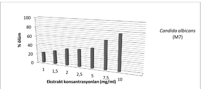 Şekil 4.6.4. Hibiscus sabdariffa bitki ekstraktının 1-10 mg/ml’lık konsantrasyonlarında  Candida albicans M7 izolatının % ölüm oranları 