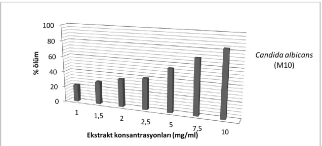 Şekil 4.6.9. Hibiscus sabdariffa bitki ekstraktının 1-10 mg/ml’lık konsantrasyonlarında  Candida albicans M10 izolatının % ölüm oranlar 