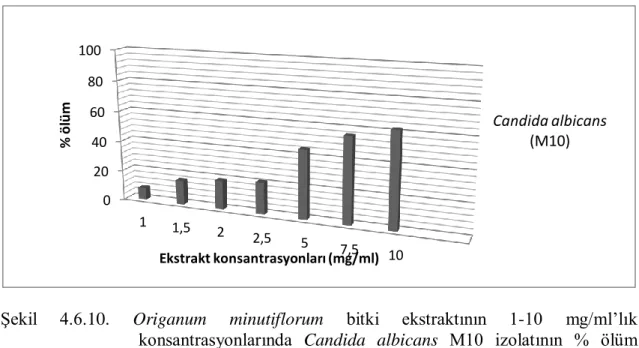 Şekil  4.6.10.  Origanum  minutiflorum  bitki  ekstraktının  1-10  mg/ml’lık  konsantrasyonlarında  Candida  albicans  M10  izolatının  %  ölüm  oranları 