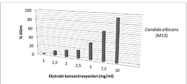 Şekil 4.6.11. Cotinus coggygria bitki ekstraktının 1-10 mg/ml’lık konsantrasyonlarında  Candida albicans M13 izolatının % ölüm oranları 