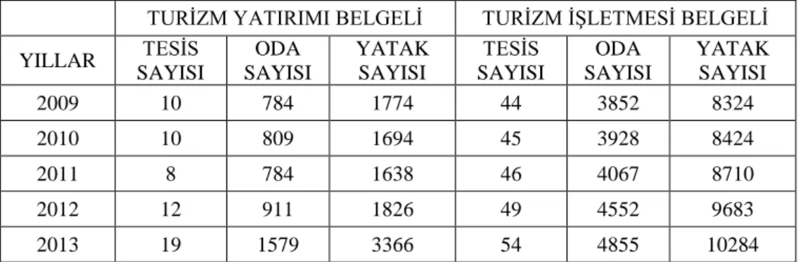 Tablo 1: 2009-2013 Yılları için Nevşehir İline Ait Turizm Belgeli Tesis  İstatistikleri 
