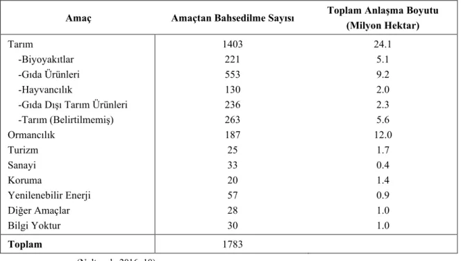 Tablo 2: Arazi Edinimlerinin Amacı ve Boyutu, 2016 