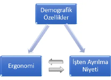 Şekil 1. Araştırmanın Modeli 