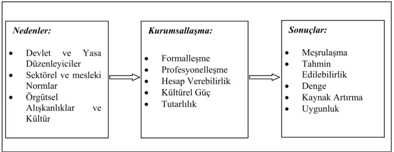 Şekil 1.1. Kurumsallaşmanın neden ve sonuçları 