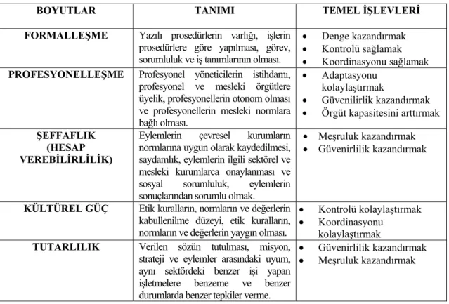 Tablo 1.4. Kurumsallaşmanın Boyutlarına İlişkin Tanımlar 