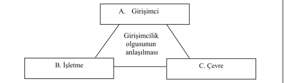 Şekil 2.1.  Girişimcilik Olgusu 