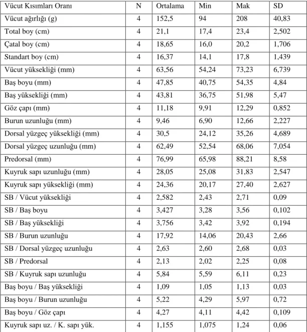 Tablo 4.4. Carassius gibelio’da ölçülebilir morfolojik özellikler 