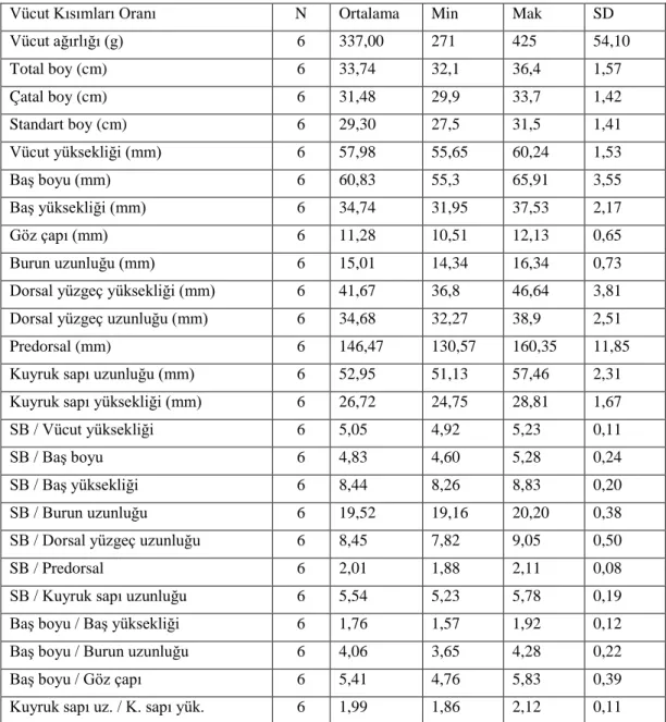 Tablo 4.8. Capoeta sieboldii’de ölçülebilir morfolojik özellikler 