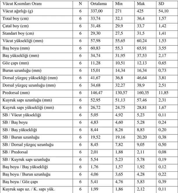 Tablo 4.8. Capoeta sieboldii’de ölçülebilir morfolojik özellikler 