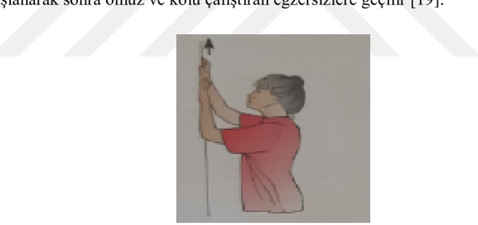 Şekil 2.1. Duvara tırmanma egzersizi [120] 