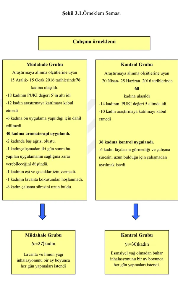 ġekil 3.1.Örneklem Şeması 