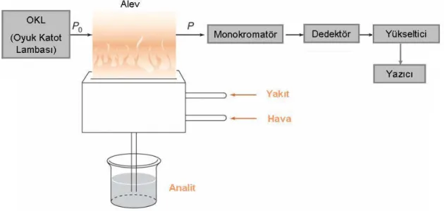 Şekil 4.1. Atomik absorbsiyon spektrometresi blok diyagramı 