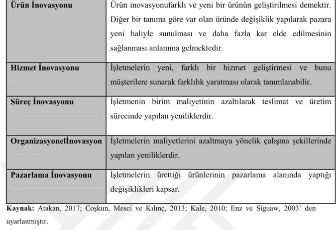 Tablo 3.2Yenilik Performansının Türleri 