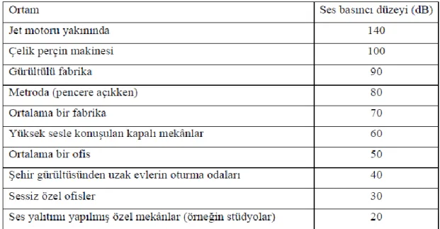 Tablo 2.3. Çeşitli ortamlardaki tipik ses basıncı düzeyleri [28] 