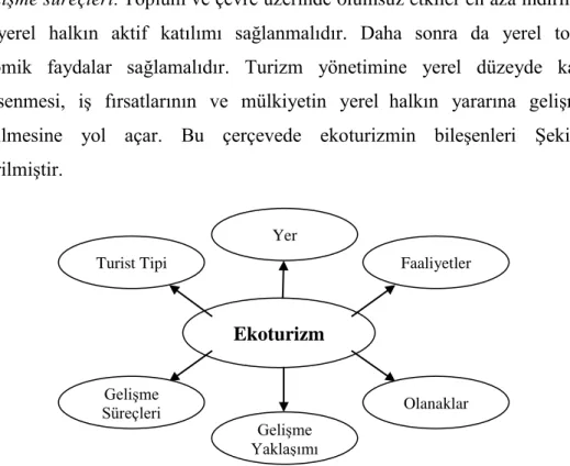 ġekil 1: Ekoturizmin BileĢenleri (Demir ve Çevirgen, 2006‟dan uyarlanmıĢtır) 