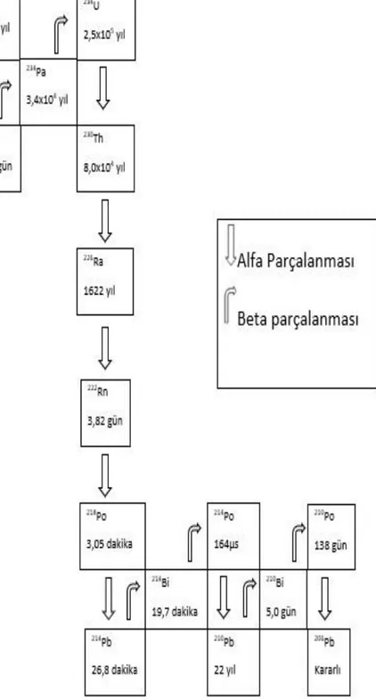 Şekil 2.1. Uranyum Bozunum Serisi [10] 